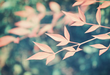 童年经典动漫大合集套装（7TB）[免费在线观看][免费下载][网盘资源][动漫合集]