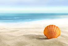 [夸克网盘]学习教程书籍资源合集[免费在线观看][免费下载][夸克网盘][教育合集]