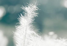 【短剧】重生后，我果断退婚转嫁冷面教官（全集 72集）黄皓＆张震[免费在线观看][夸克网盘]