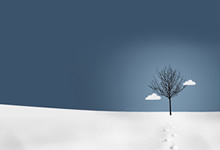 [阿里云盘]我经过风暴 (2023) TC[免费在线观看][免费下载][夸克网盘][国产影视]